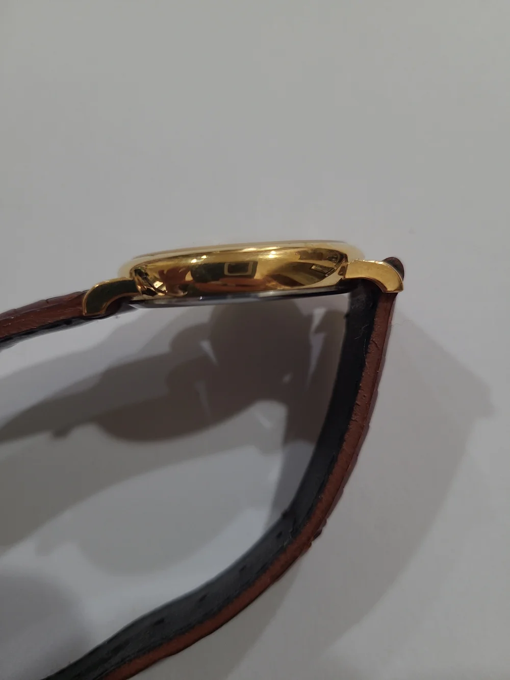 Timex Tigger Dial Watch with Gold-Tone Case and Brown Leather Strap